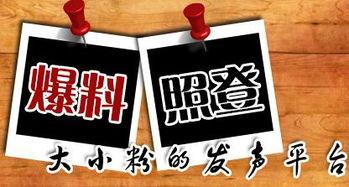 免费新闻爆料,揭开社会热点背后的真相