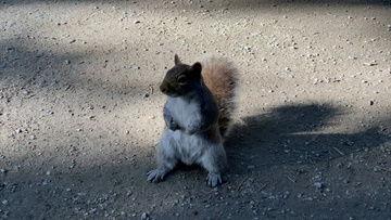 番鼠爆料视频大全下载,揭秘热门话题背后的真相 第3张 番鼠爆料视频大全下载,揭秘热门话题背后的真相 第3张